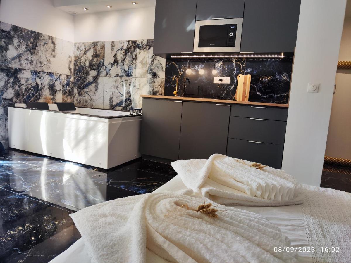Studio Avec Jaccuzzi Saintry-sur-Seine Eksteriør billede