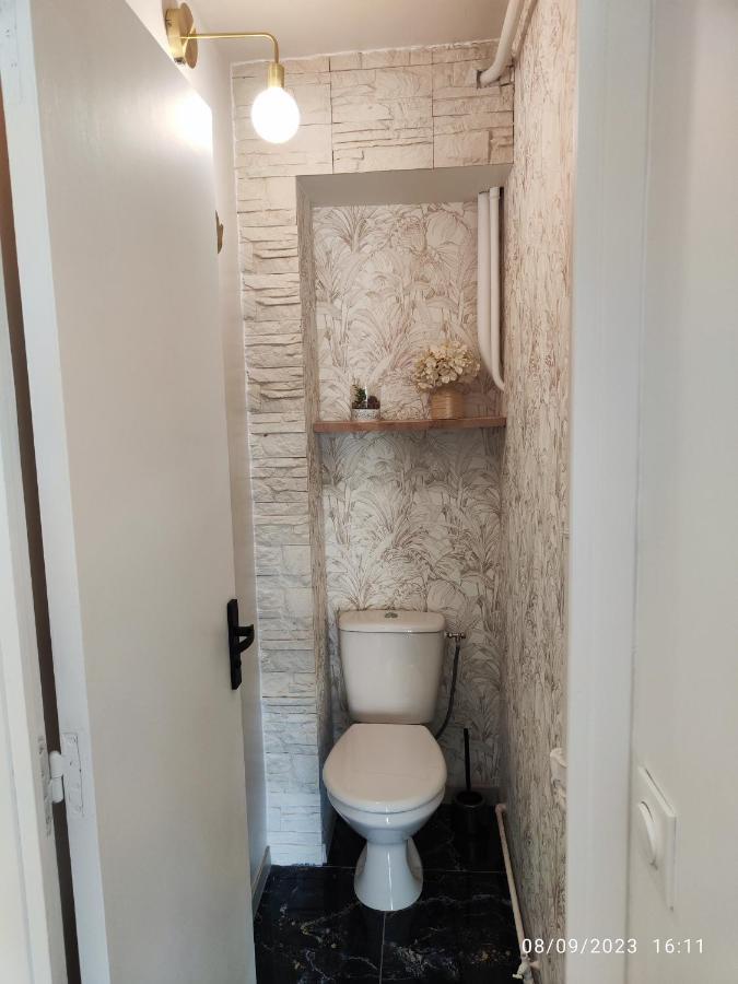 Studio Avec Jaccuzzi Saintry-sur-Seine Eksteriør billede